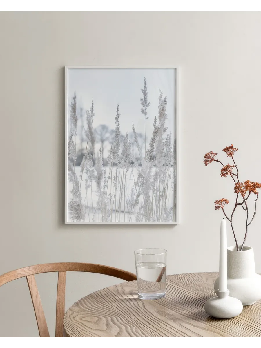 Winter Reed
