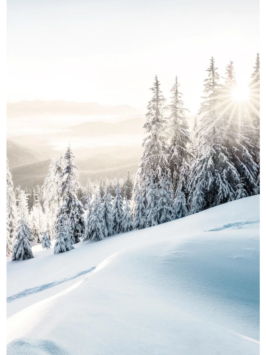 Winter Sunrise