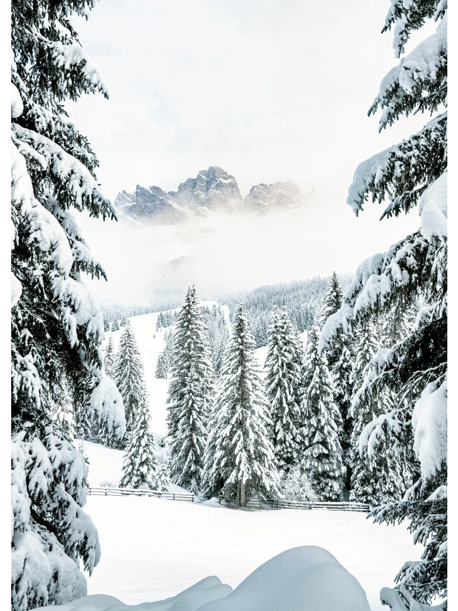 Winter Valley