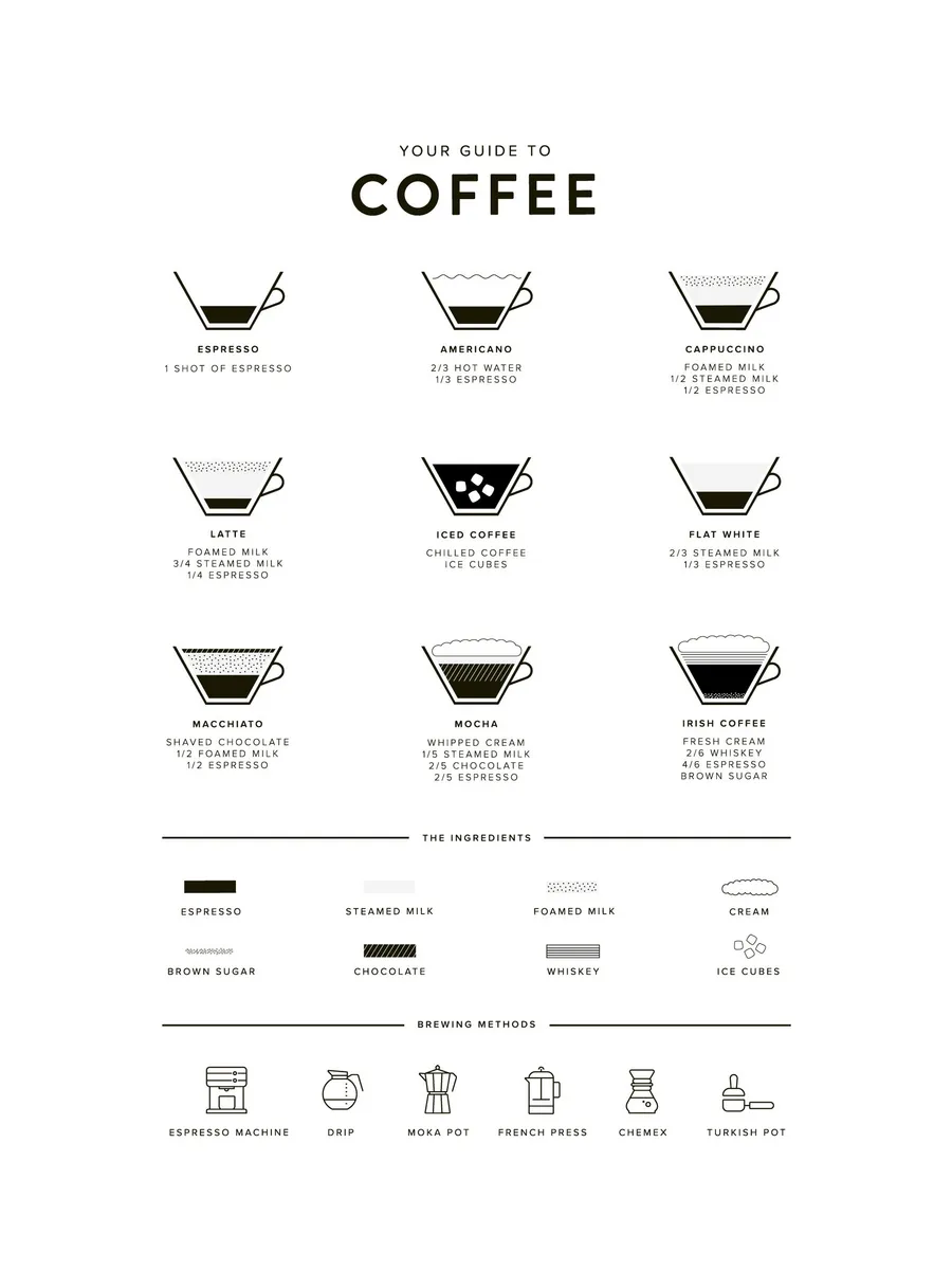 Your Guide to Coffee