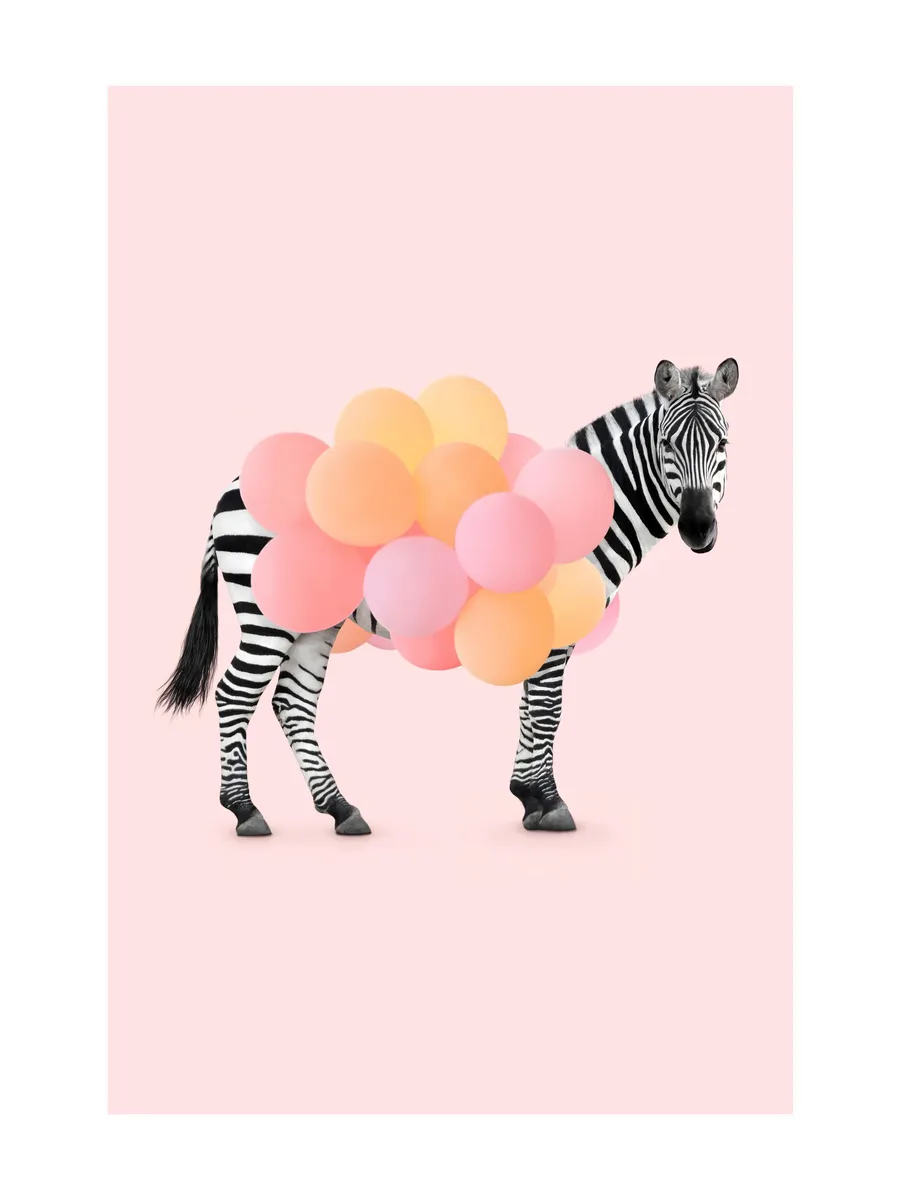 Zebra Balloon