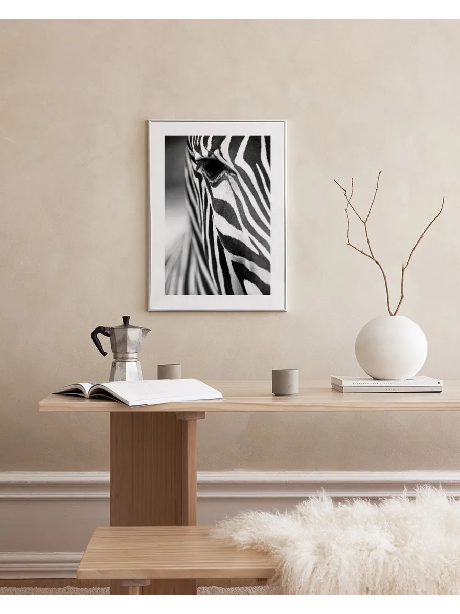 Zebra Close Up