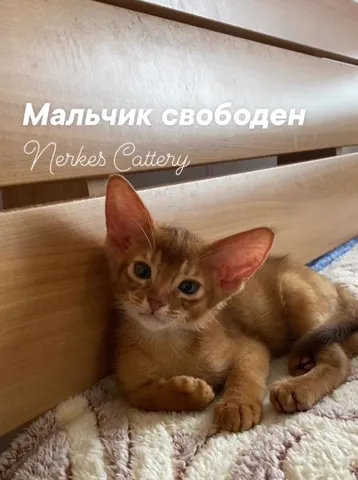 Фото из галереи питомника от 2022-05-18