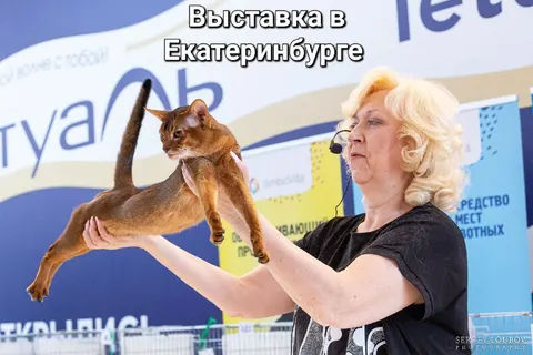 Фото из галереи питомника от 2022-09-08
