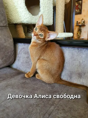 Фото из галереи питомника от 2022-09-08