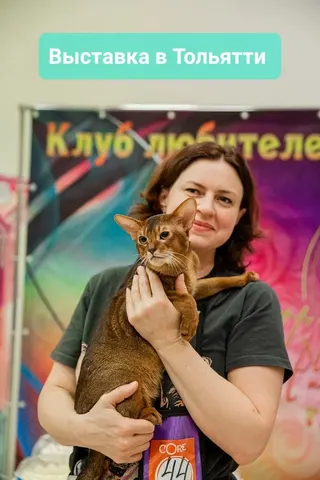 Фото из галереи питомника от 2022-11-16