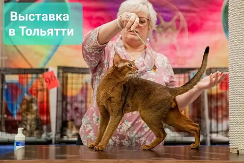 Фото из галереи питомника от 2022-11-16