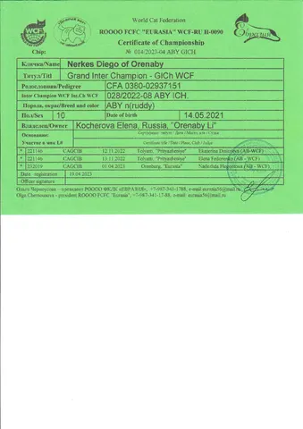 Фото из галереи питомника от 2023-04-21