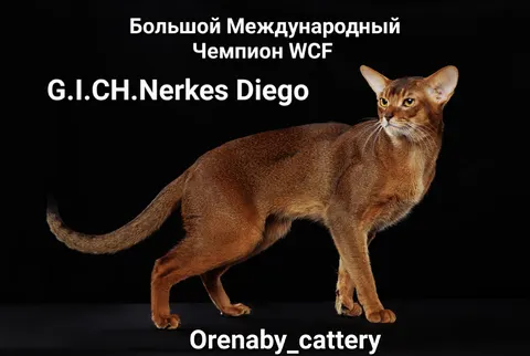Фото из галереи питомника от 2023-07-18