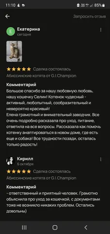 Фото из галереи питомника от 2023-11-09