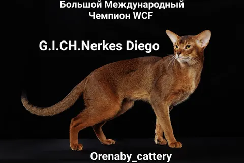 Фото из галереи питомника от 2024-01-06