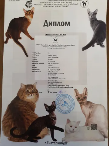 Фото из галереи питомника от 2025-02-25
