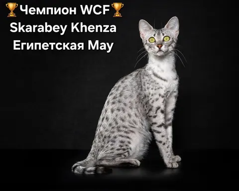 Фото из галереи питомника от 2025-10-17