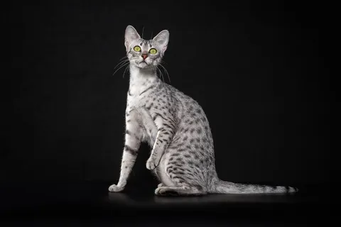 Фото из галереи питомника от 2025-10-17
