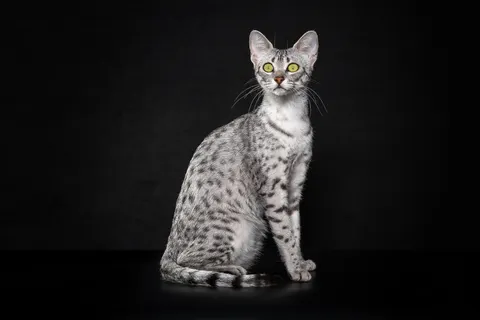 Фото из галереи питомника от 2025-10-17