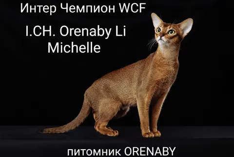 Фото из галереи питомника от 2025-10-17