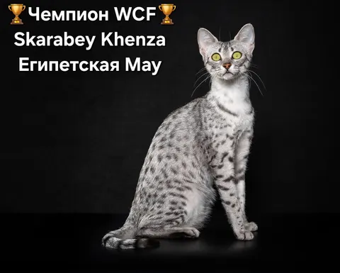Фото из галереи питомника от 2025-11-02