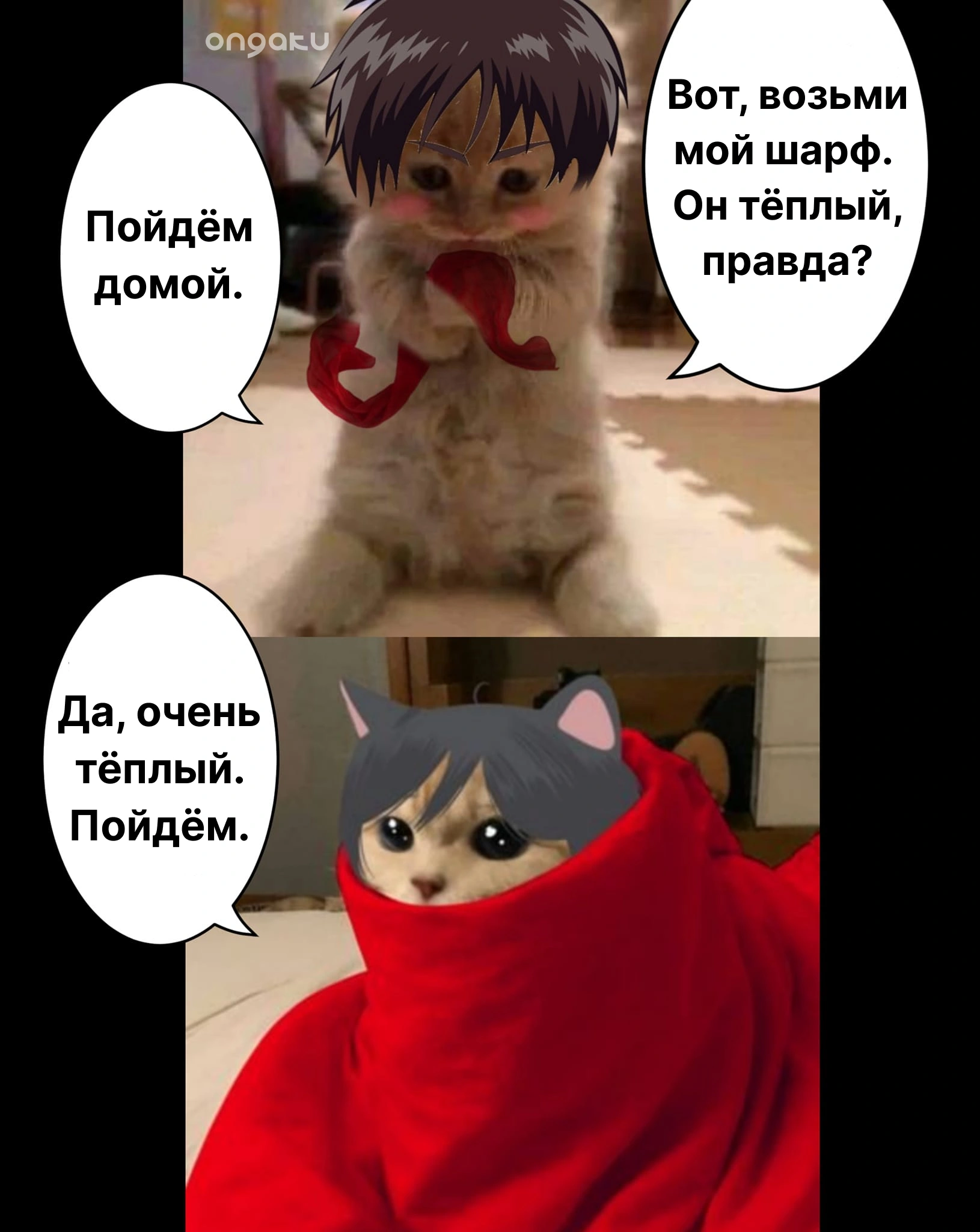 Мы не могли не показать вам этот милейший мем 🐾 