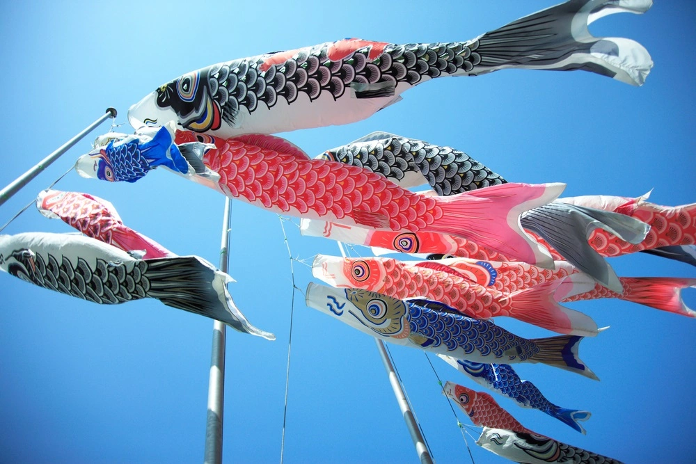 Рыбов продаете? Нет, просто показываем. Япония отмечает День детей!