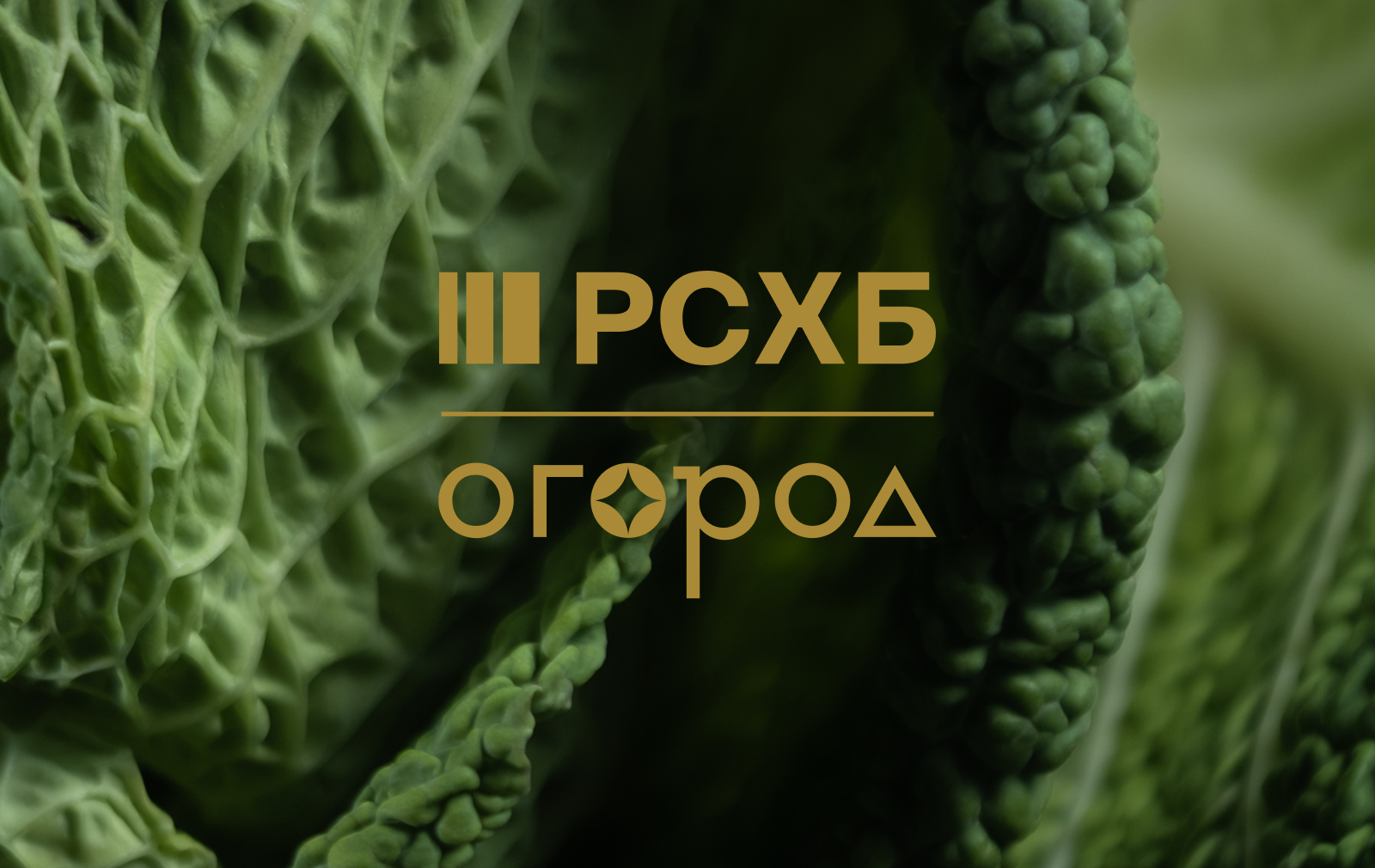 альтернативный текст