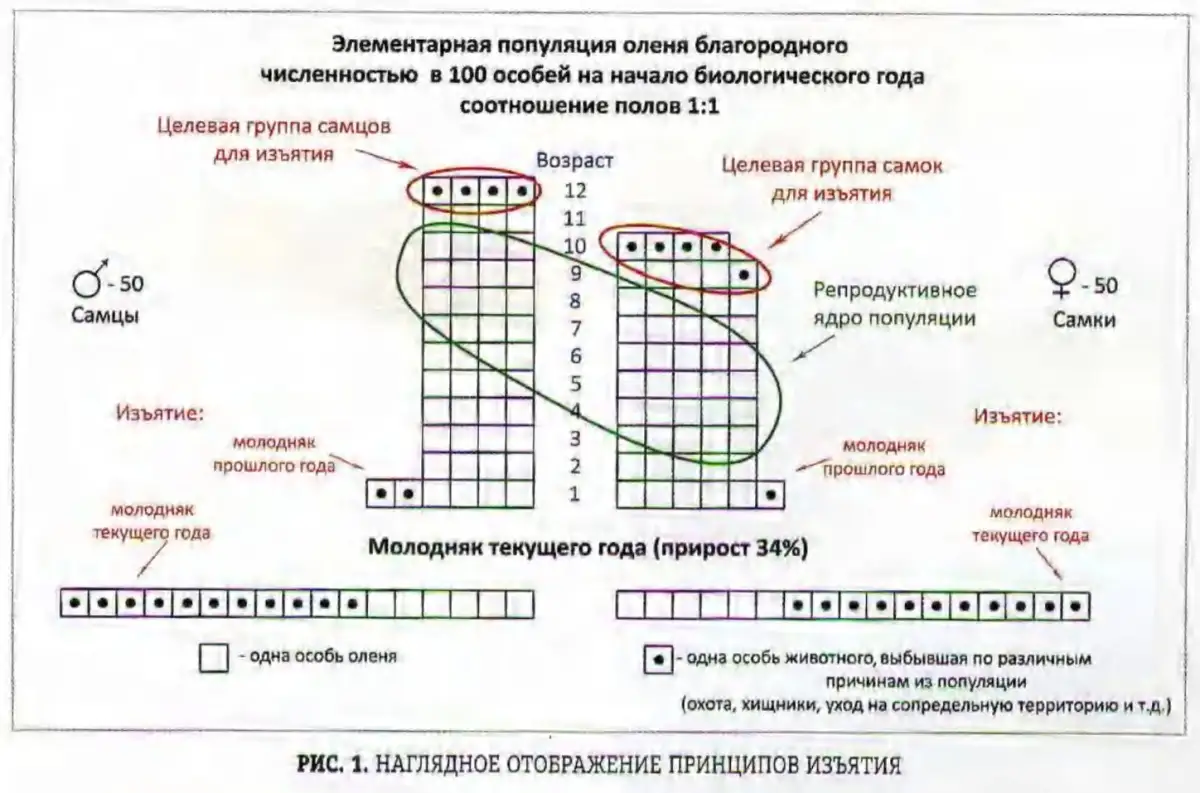 3_trofei-2.jpg