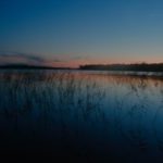 20120806_1043-310x206