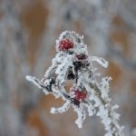 img_1774