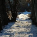 img_2579