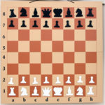 demonstrac-800x800