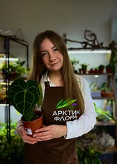 Изнаночное изображение