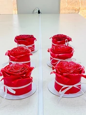 Изнаночное изображение