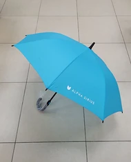 Изнаночное изображение