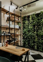 Изнаночное изображение