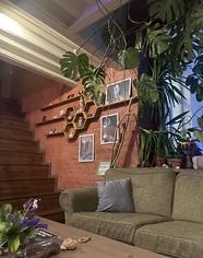 Изнаночное изображение