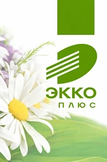 Изнаночное изображение