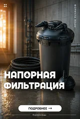 Изнаночное изображение