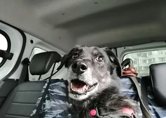 Изнаночное изображение