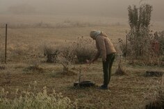 Изнаночное изображение