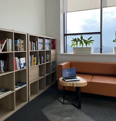 Изнаночное изображение