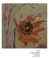 Изнаночное изображение