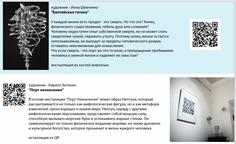 Изнаночное изображение