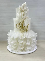 Изнаночное изображение