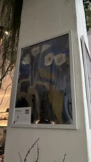 Изнаночное изображение