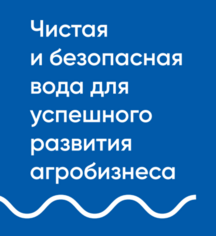 Изнаночное изображение