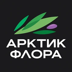Изнаночное изображение