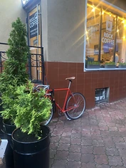 Изнаночное изображение