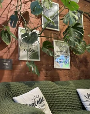 Изнаночное изображение