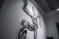 Изнаночное изображение