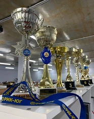 Изнаночное изображение