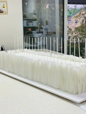 Изнаночное изображение